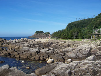 海岸