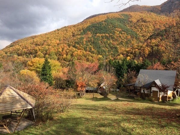紅葉の風景