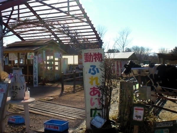 動物ふれあい広場