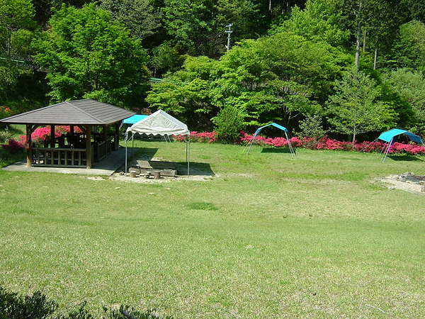 デイキャンプ