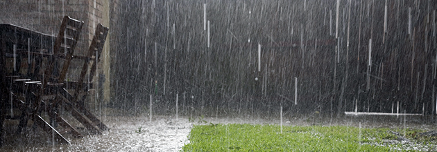 突然雨が降ってきた！