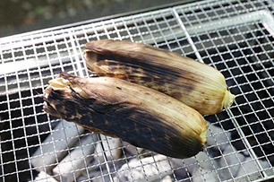 レシピたまねぎ04_01