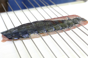 炭火焼カツオタタキ_行程1