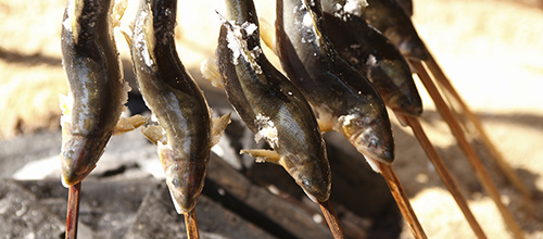 炭火バーベキューで魚を上手に焼く方法